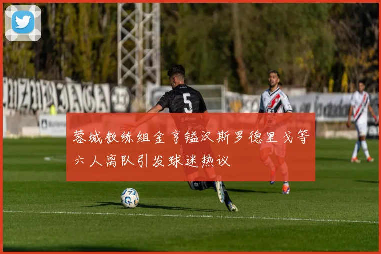 蓉城教练组金亨镒汉斯罗德里戈等六人离队引发球迷热议