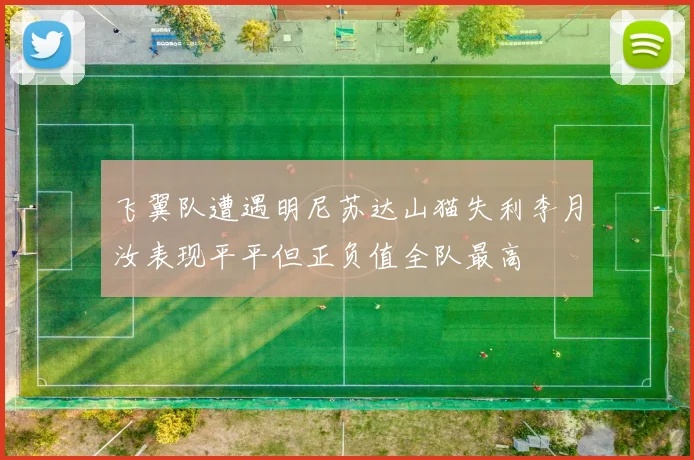 飞翼队遭遇明尼苏达山猫失利李月汝表现平平但正负值全队最高